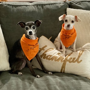 Team Page: Burning Love 